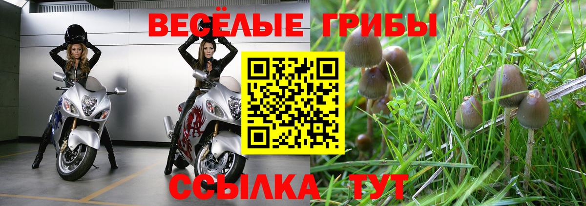 Псилоцибиновые грибы мицелий Семёнов